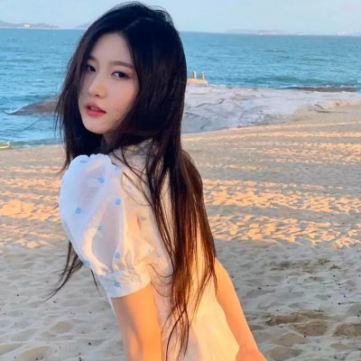外交风云2019